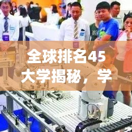 全球排名45大学揭秘，学术巅峰之旅