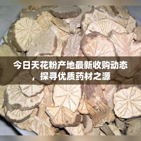 衣不兼彩
