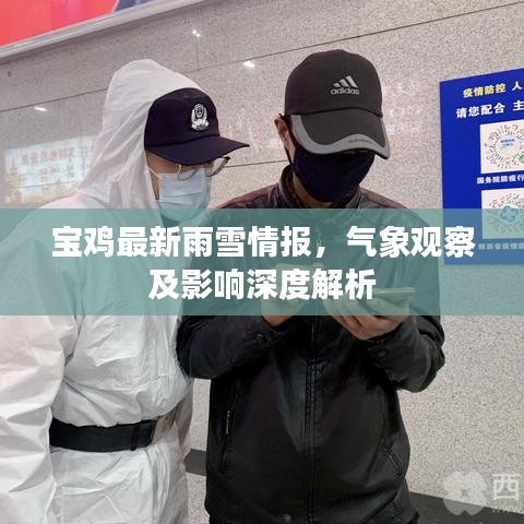 百鸟归巢