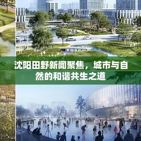 沈阳田野新闻聚焦，城市与自然的和谐共生之道