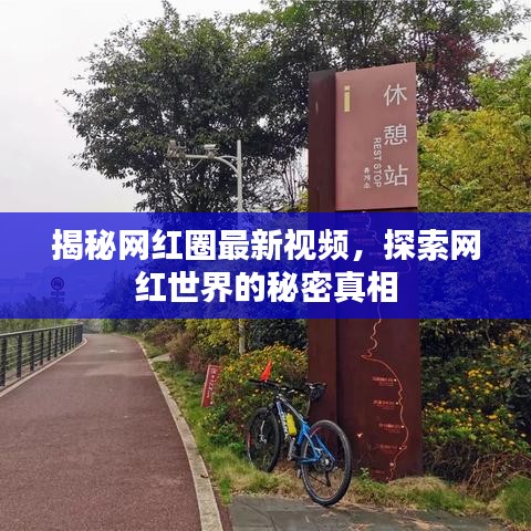 揭秘网红圈最新视频，探索网红世界的秘密真相