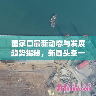 董家口最新动态与发展趋势揭秘，新闻头条一览