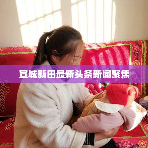 宣城新田最新头条新闻聚焦