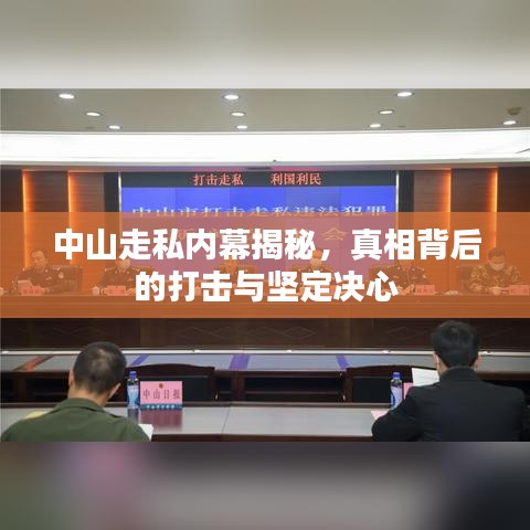 中山走私内幕揭秘，真相背后的打击与坚定决心