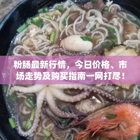 粉肠最新行情，今日价格、市场走势及购买指南一网打尽！