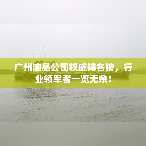 广州油品公司权威排名榜，行业领军者一览无余！