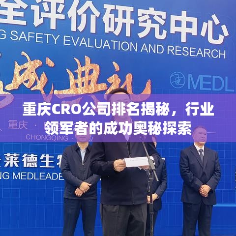 重庆CRO公司排名揭秘，行业领军者的成功奥秘探索