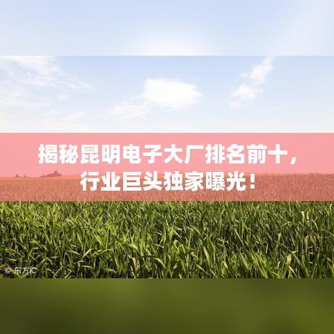 揭秘昆明电子大厂排名前十，行业巨头独家曝光！