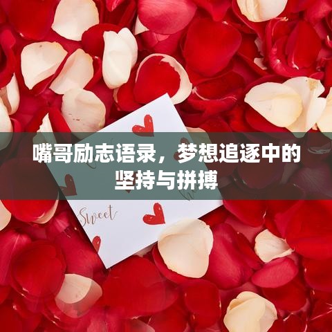 嘴哥励志语录，梦想追逐中的坚持与拼搏
