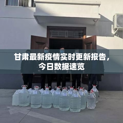 甘肃最新疫情实时更新报告，今日数据速览