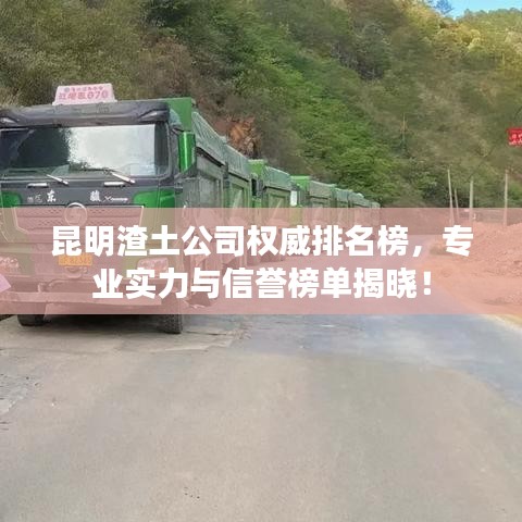 昆明渣土公司权威排名榜，专业实力与信誉榜单揭晓！