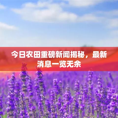 今日农田重磅新闻揭秘，最新消息一览无余