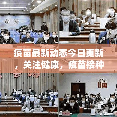 疫苗最新动态今日更新，关注健康，疫苗接种信息全掌握