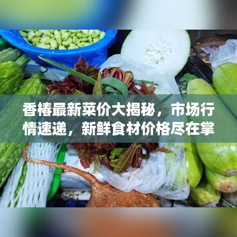 香椿最新菜价大揭秘，市场行情速递，新鲜食材价格尽在掌握！