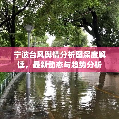 宁波台风舆情分析图深度解读，最新动态与趋势分析