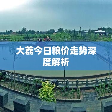大荔今日粮价走势深度解析