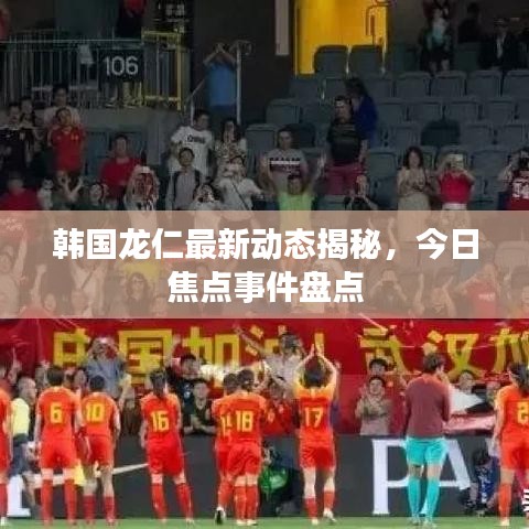 韩国龙仁最新动态揭秘，今日焦点事件盘点