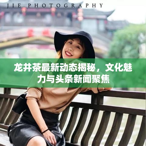 龙井茶最新动态揭秘，文化魅力与头条新闻聚焦