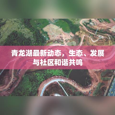 青龙湖最新动态，生态、发展与社区和谐共鸣
