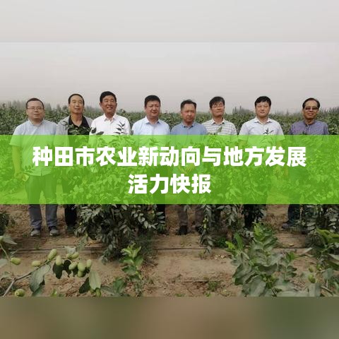 种田市农业新动向与地方发展活力快报