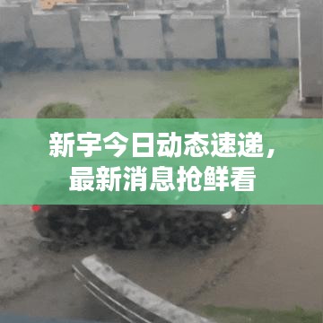 新宇今日动态速递，最新消息抢鲜看
