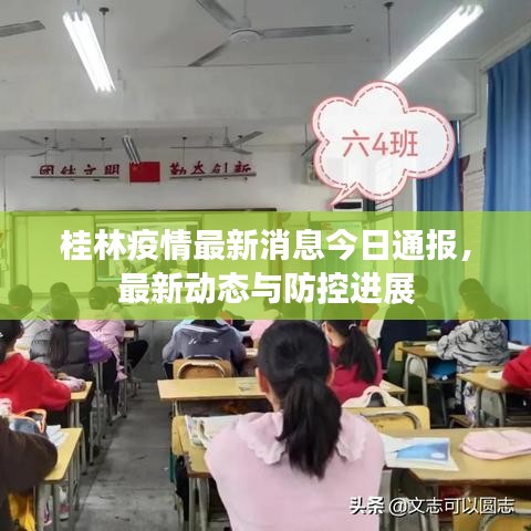桂林疫情最新消息今日通报，最新动态与防控进展