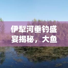 伊犁河垂钓盛宴揭秘，大鱼最新动态与垂钓故事探秘