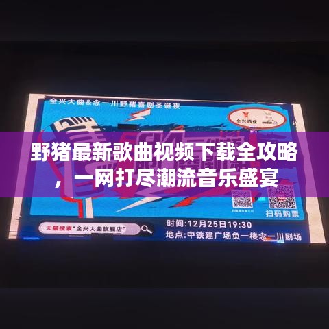 野猪最新歌曲视频下载全攻略，一网打尽潮流音乐盛宴