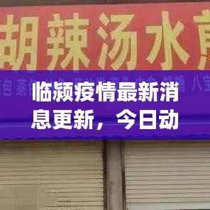 临颍疫情最新消息更新，今日动态与防控进展