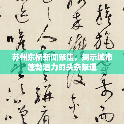 苏州东桥新闻聚焦，揭示城市蓬勃活力的头条报道