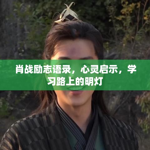 肖战励志语录，心灵启示，学习路上的明灯