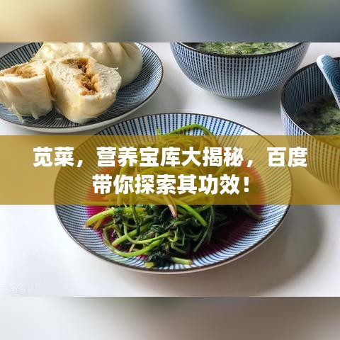 苋菜，营养宝库大揭秘，百度带你探索其功效！