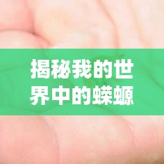 揭秘我的世界中的蝾螈大小排名！