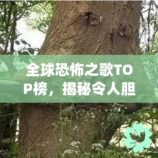 全球恐怖之歌TOP榜，揭秘令人胆颤的旋律背后的故事