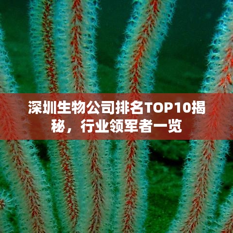 深圳生物公司排名TOP10揭秘，行业领军者一览