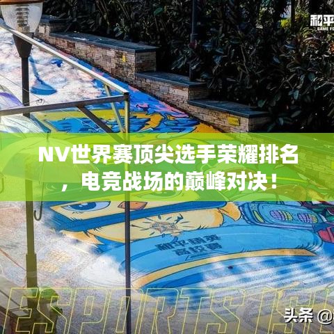 NV世界赛顶尖选手荣耀排名，电竞战场的巅峰对决！