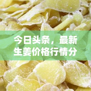今日头条，最新生姜价格行情分析