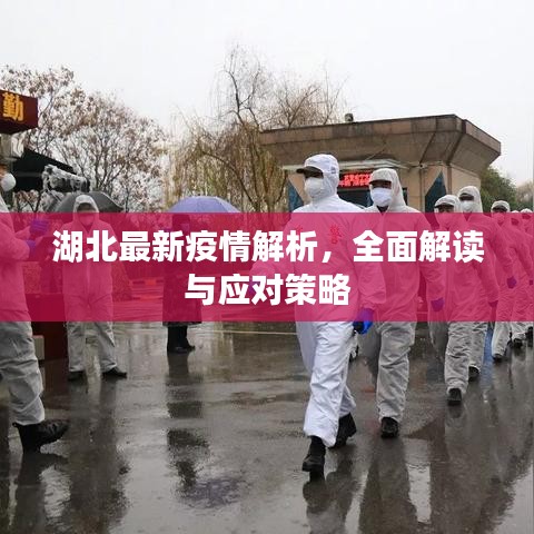 湖北最新疫情解析，全面解读与应对策略