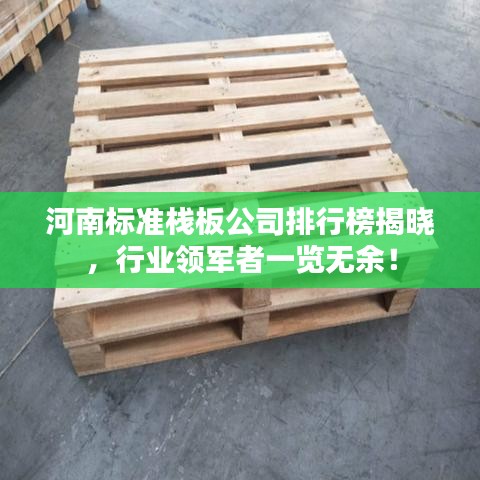 河南标准栈板公司排行榜揭晓，行业领军者一览无余！