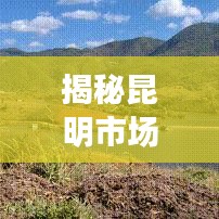 揭秘昆明市场，最新价格动态及影响因素分析（附深度报告）