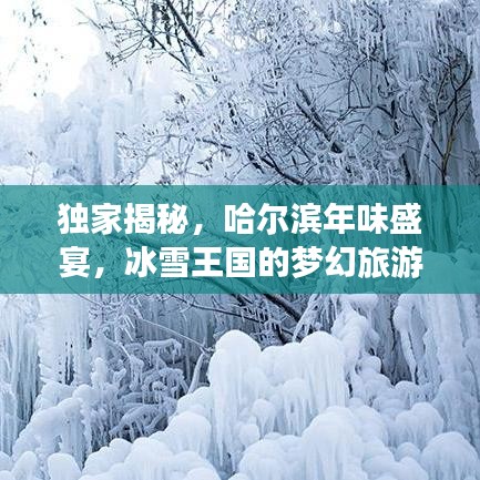 独家揭秘，哈尔滨年味盛宴，冰雪王国的梦幻旅游攻略