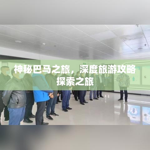 神秘巴马之旅，深度旅游攻略探索之旅