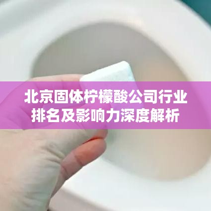 北京固体柠檬酸公司行业排名及影响力深度解析