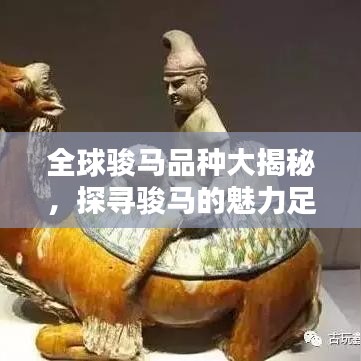 全球骏马品种大揭秘，探寻骏马的魅力足迹排名