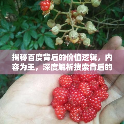 揭秘百度背后的价值逻辑，内容为王，深度解析搜索背后的力量