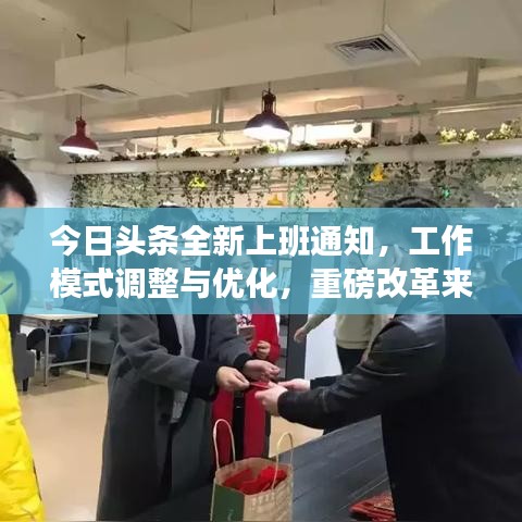 今日头条全新上班通知，工作模式调整与优化，重磅改革来袭！