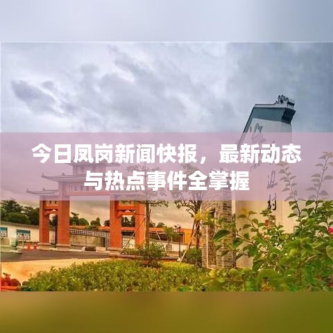 今日凤岗新闻快报，最新动态与热点事件全掌握