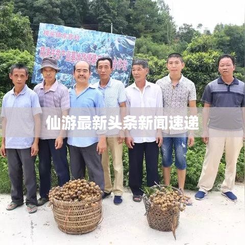仙游最新头条新闻速递
