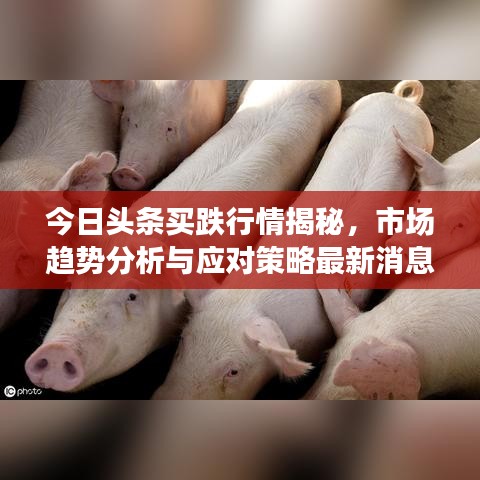 今日头条买跌行情揭秘，市场趋势分析与应对策略最新消息