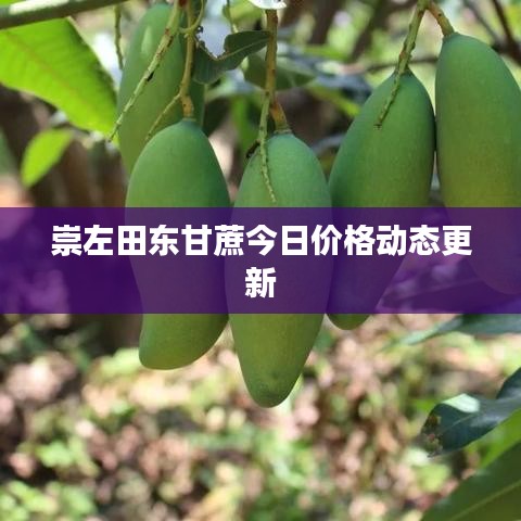 崇左田东甘蔗今日价格动态更新